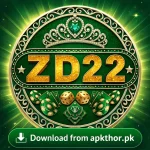 ZD22 Game