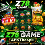 Z78 Game