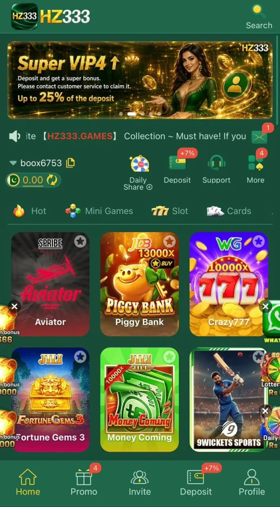 HZ333 Game